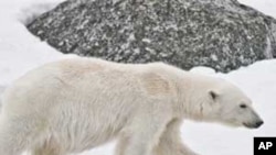 A África é o continente que enfrenta os maiores riscos dos efeitos do aquecimento global