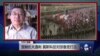 VOA连线：涅姆佐夫遇刺 莫斯科反对派备受打击