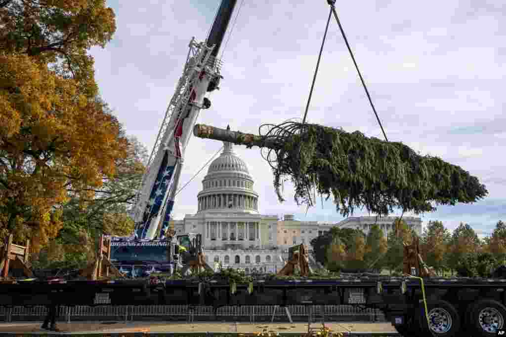 واشګتن ډي سي- د امریکا متحده ایالتونه&nbsp;