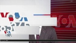 شرکت‌های نوپا