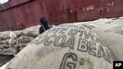 A worker prepares to load sacks of cocoa onto a ship at the port of Abidjan May 8, 2011.