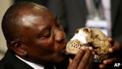 El vicepresidente de Sudáfrica, Cyril Ramaphosa, besó una reconstrucción del Homo naledi durante el anuncio hecho el jueves, 10 de septiembre de 2015.