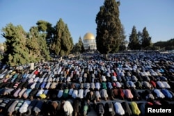 2014年10月4日巴勒斯坦人在耶路撒冷老城阿克萨清真寺前祈祷庆祝穆斯林宰牲节