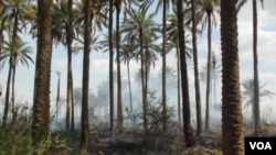 Orchards burn in Khanaqin