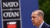 NATO Reaffirms Support of Turkish President Erdogan