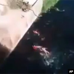 A screen shot from the above mentioned YouTube video showing bodies floating in a river shorty after having been dropped from a bridge.