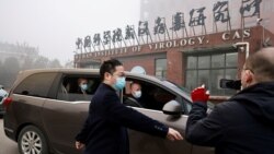 时事大家谈：中国世卫分歧升级 溯源如何回归科学？