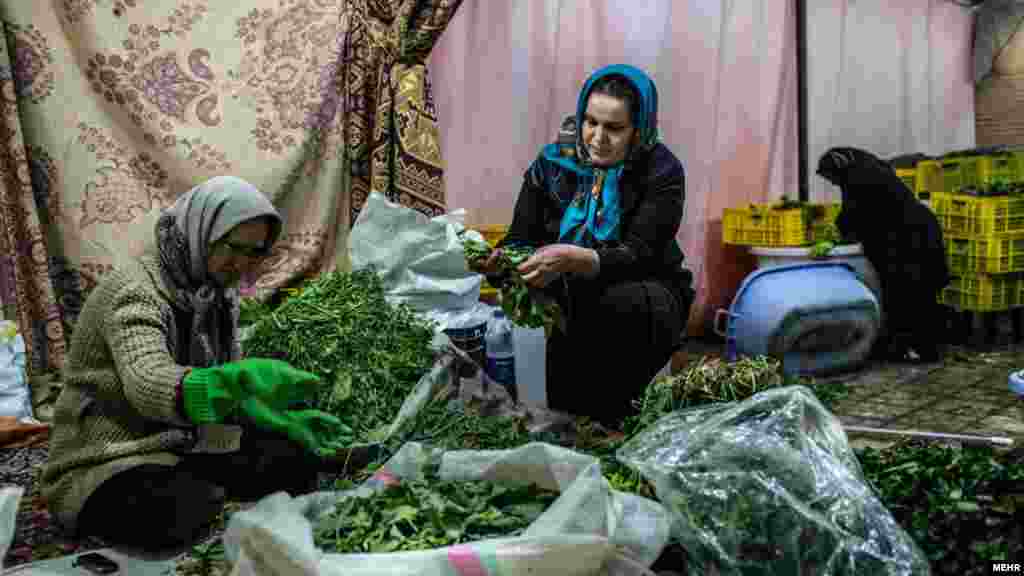 خبرگزاری مهر مجموعه عکسی با عنوان سبزی مادر دارد. ماجرا این است که مریم مهاجر شجاعی ۴ سال قبل برای تامین هزینه های درمان سرطان مادرش یک کارگاه خانگی برای تهیه، فرآوری و فروش سبزیجات راه اندازی کرد و نام آن را &laquo;سبزی فروشی مادر&raquo; گذاشت. عکس مجتبی حیدری، مهر