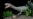 All in the Family: Dinosaur Cousin's Look Quite a Surprise