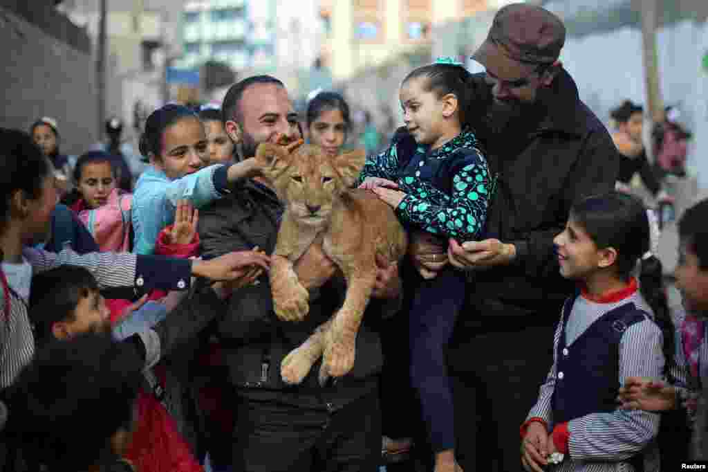 A Palestinian man shows a lion cub to children at the Rafah refugee camp in the southern Gaza Strip.