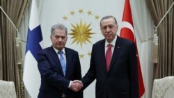 土耳其將對芬蘭北約成員國資格進行投票