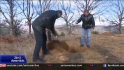 Pyjet dhe zhvillimi lokal në zonën e Pukës