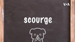 学个词 --scourge