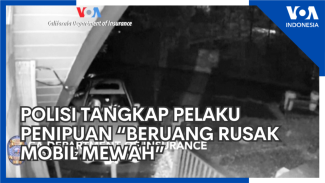 Polisi Tangkap Pelaku Penipuan “Beruang Rusak Mobil Mewah”

