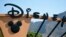 La compañía Disney prohibió la semana pasada el ingreso a los críticos de películas de "LA Time" a los pre-estrenos en respuesta a un par de artículos que publicó el periódico donde cuestiona la relación entre Disneylandia y la ciudad de Anaheim, al sur de Los Ángeles, donde se ubica el gigante del entretenimiento. 