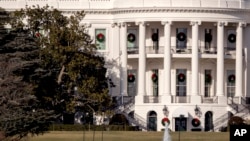 A large portion of a famed magnolia tree, at left, photographed Dec. 26, 2017, and planted on the south grounds of the White House by President Andrew Jackson in 1835 has become too weak to remain standing.