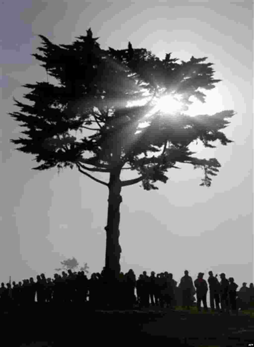 The sun shines through a tree on the first tee of Monterey Peninsula Country Club during the second round of the AT&T Pebble Beach National Pro-Am golf tournament in Pebble Beach, Calif., Friday, Feb. 10, 2012. (AP Photo/Marcio Jose Sanchez)