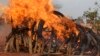 Kenya burns five tons of ivory seized from illegal poaching of elephants in Malawi and Zambia. 