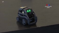 Բարի Լույս. Արման Թարջիմանյան՝ ծանոթություն "Վեքթոր" ռոբոտի հետ