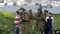 Israeli soldiers arrest Palestinian youths during a protest north of the West Bank city of Jenin in support to the Palestinian prisoners, Feb. 22, 2013. 