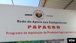 Angola Namibe Papagro