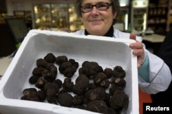 Marinette, a seller, holds a box of Tuber Melanosporum truffles at Rungis International food market as buyers prepare for the holiday season in Rungis, south of Paris, Dec. 11, 2014.