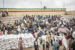 People who fled the war from May Tsemre, Addi Arkay and Zarima gather around in a temporarily built internally displaced people (IDP) camp to receive their first bags of wheat from the World Food Program in Debark, 90 kilometers of the city of Gondar, Ethiopia, Sept. 15, 2021.