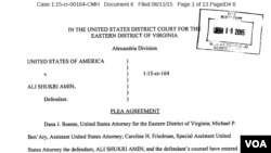 Copy of U.S. Department of Justice Affidavit on Virginia teen's guilty plea about conspiring to provide material support to Islamic State militants, June 11, 2015.