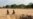 Madagascar Prays for Rain as UN Warns of 'Climate Change Famine'