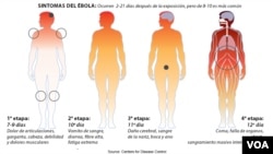 Las etapas del ébola y cómo va afectando al organismo