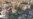 16x9 Image