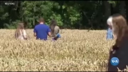 ဂျာမနီယာခင်းတွေဆီ ဂြိုဟ်သားတွေ လာသွားလား၊ စတုံးဟချ် ကျောက်တုံးတွေရဲ့ ဇစ်မြစ်