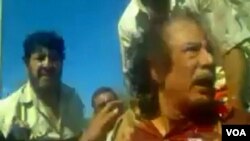 Premye Minis pwovizwa libyen an, Mahmoud Jibril, di konbatan revolisyonè yo te mache pran Kadhafi anba yon ti pon ki konstwi pou kite dlo pase anba yon wout nan vil natal li, vil Sirte