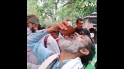 印度教徒举办派对 共喝牛尿对抗新冠