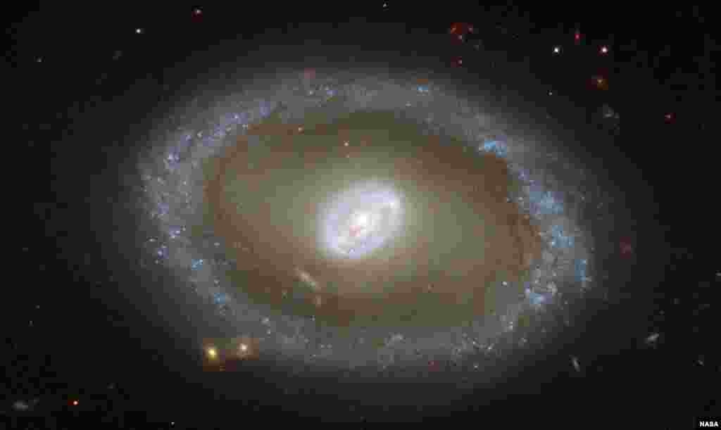 Gambar galaksi NGC 3081 yang diambil oleh teleskop Hubble yang berjarak 86 juta tahun cahaya dari Bumi.