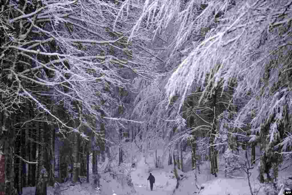 A cross-country skier makes his way through the snow near Hofsgrund on the Schauinsland mountain in the Black Forest, southwestern Germany, Nov. 26, 2017.