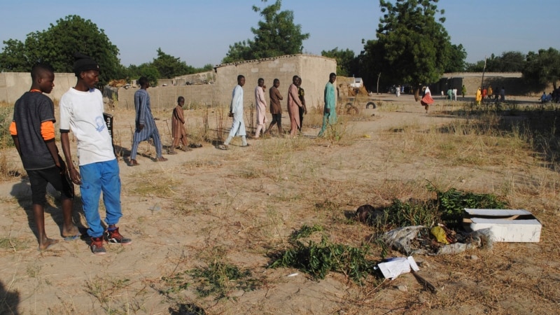 Nigeria: 17 éleveurs tués par Boko Haram dans l'Etat de Borno