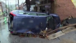 Bahoza Alberto Dibe Sedema Malwêranîyên Giran