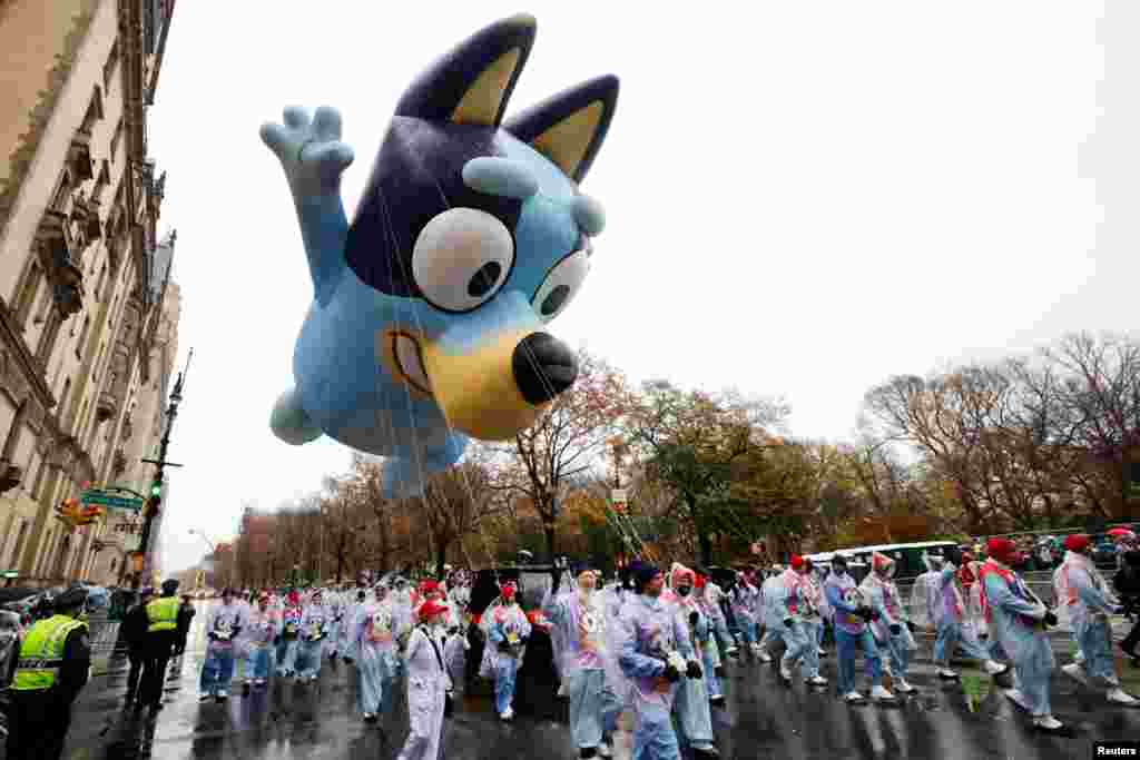 The Bluey balloon flies during the 98th Macy's Thanksgiving Day Parade successful  New York City, Nov. 28, 2024. 