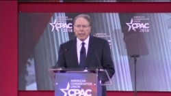NRA Chief Says Members Mourn Loss of Innocent Lives in Florida Shooting