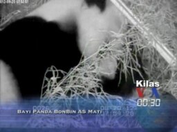 Kilas VOA 24 September 2012