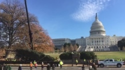 Árbol de Navidad del Capitolio llega a Washington