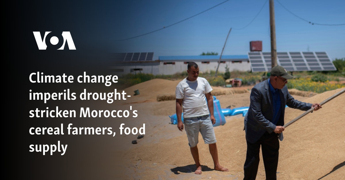 Climate change imperils drought-stricken Morocco’s cereal farmers, food supply