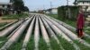 FILE - A girl walks on a gas pipeline running through Okrika community near Nigeria's oil hub city of Port Harcourt, Dec. 4, 2012. A new $3.5 billion East African Crude Oil Pipeline is projected to run 1,450 kilometers from the Uganda to Tanzania.