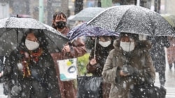 People wearing face masks to protect against the spread of the coronavirus walk on the street in the snow in Tokyo, Jan. 6, 2022.