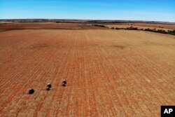 Empleados agrícolas esparciendo fertilizantes en una granja en Gerdau, provincia del Noroeste, Sudáfrica, el 19 de noviembre de 2018. [Foto: Archivo/AP].