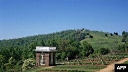 Bašta Tomasa Džefersona na njegovom imanju u Montičelu