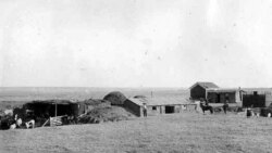 An 1889 photo of a sod home and farm built by settlers in Kansas