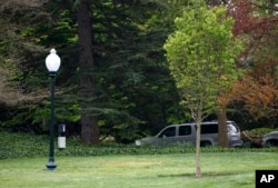 This April 28, 2018 photo shows an empty area where a tree was planted by U.S. President Donald Trump and French President Emmanuel Macron during a tree planting ceremony on the South Lawn of the White House in Washington.