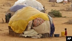 Un enfant devant une hutte dans un camp de réfugiés de Dadaab le 9 juillet 2012.